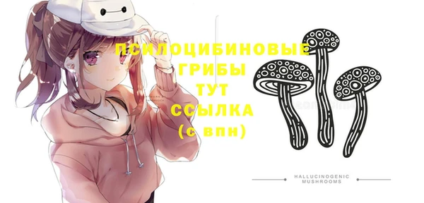 гидропоника Иннополис