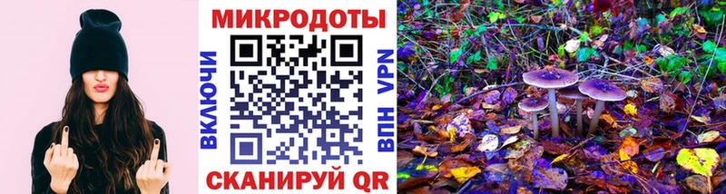 Галлюциногенные грибы MAGIC MUSHROOMS  блэк спрут зеркало  Ядрин 