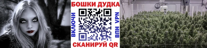 Канабис Bruce Banner купить наркоту ссылка на мегу вход Ядрин